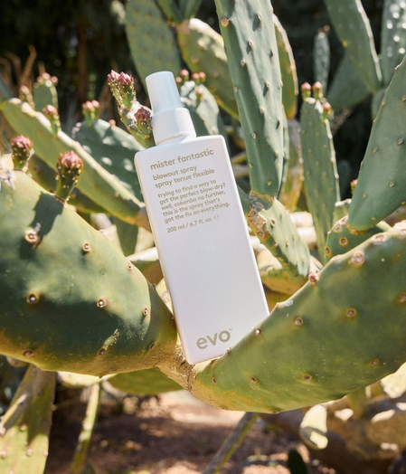 Mister Fantastic Blowout Spray